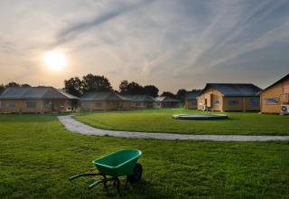 Sonnenuntergang über FarmCamps Alpaca Vorstenbosch in Nordbrabant, Niederlande mit grüner Wiese und Zelten.