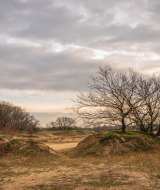 Paisaje cerca de Vorstenbosch, Brabante Septentrional, Países Bajos, con árboles sin hojas y cielo nublado.