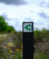 Photo d’un poteau avec un panneau vert de glamping près d’un sentier dans un parc de vacances.