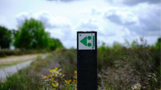 Photo d’un poteau avec un panneau vert de glamping près d’un sentier dans un parc de vacances.