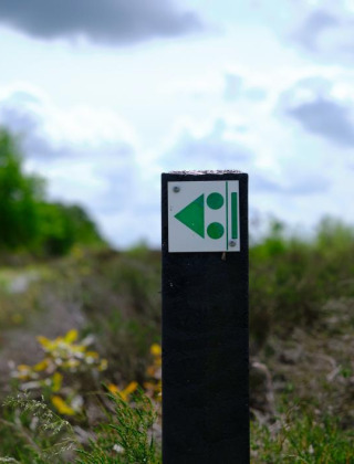 Foto de un poste señalizador con un cartel verde de glamping junto a un sendero en un parque vacacional.