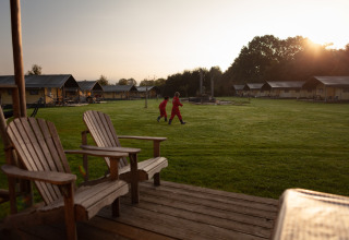 Børn leger på græsplæne omgivet af feriehytter ved solnedgang på FarmCamps Hoeve Sonneclaer i Drenthe.