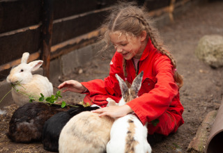 En pige i rødt tøj leger med kaniner på FarmCamps Hoeve Sonneclaer i Drenthe, Holland.