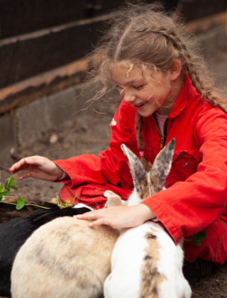 Una niña con traje rojo acaricia conejos en FarmCamps Hoeve Sonneclaer, un parque en Drenthe, Países Bajos.