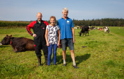 Tre personer står på en mark med køer i baggrunden på FarmCamps Hoeve Sonneclaer i Drenthe, Holland.