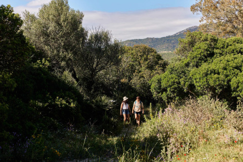 Zwei Menschen wandern auf einem Naturpfad inmitten grüner Vegetation im TAIGA Tarifa Ferienpark in Andalusien.