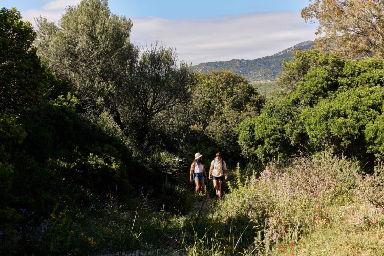 Twee mensen wandelen op een pad omgeven door groene natuur in TAIGA Tarifa vakantiepark in Andalusië, Spanje.