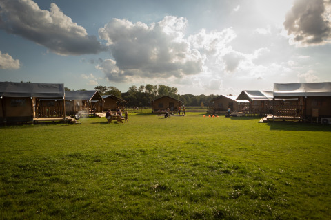 Sonnenbeschienener Ferienpark mit Holzhütten und weitläufigem Rasen bei FarmCamps Holzik Stables, Overijssel.