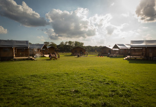 Zonnig vakantiepark met houten huisjes en grasveld bij FarmCamps Holzik Stables, Overijssel, Nederland.