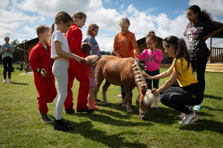 Enfants et adultes caressent un poney sur l’herbe à FarmCamps Holzik Stables, parc de vacances aux Pays-Bas.