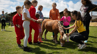 Niños y adultos acarician un pony en el césped en FarmCamps Holzik Stables, parque vacacional en Overijssel.