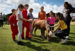 Enfants et adultes caressent un poney sur l’herbe à FarmCamps Holzik Stables, parc de vacances aux Pays-Bas.