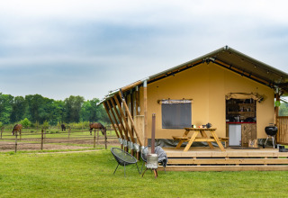 Tienda glamping en FarmCamps Holzik Stables, Overijssel, Países Bajos, con vista a caballos pastando.