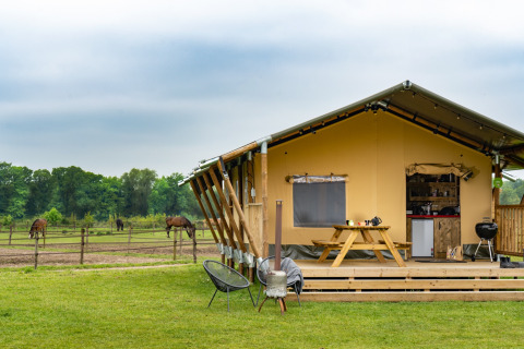 Glamping tent at FarmCamps Holzik Stables in Overijssel, Netherlands, overlooking fields with horses.
