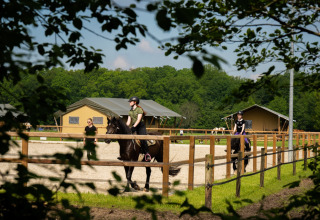 Des enfants apprennent l'équitation à FarmCamps Holzik Stables, un parc de vacances à Overijssel, Pays-Bas.