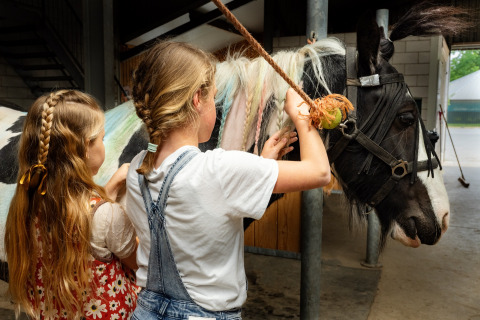 Dos niñas trenzan la crin de un caballo en FarmCamps Holzik Stables, parque vacacional en Overijssel, Países Bajos.