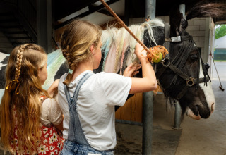 Deux filles tressent la crinière d’un cheval à FarmCamps Holzik Stables, village vacances aux Pays-Bas.