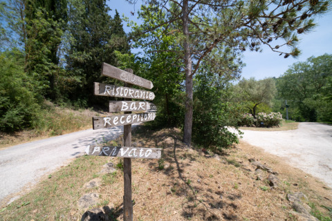 Letreros de madera en Camping Podere Sei Poorte, Marche, Italia, indican restaurante, bar y recepción.