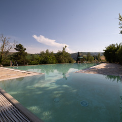 Piscina infinita en Camping Podere Sei Poorte en Marche, Italia, rodeada de naturaleza y colinas verdes.