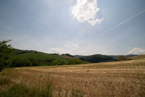 View of hills and fields under a blue sky at Camping Podere Sei Poorte in Marche, Italy.