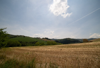 View of hills and fields under a blue sky at Camping Podere Sei Poorte in Marche, Italy.