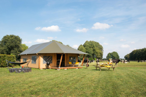 Safaritent op een grasveld met koeien in de achtergrond, picknicktafel en hangmat onder blauwe lucht.