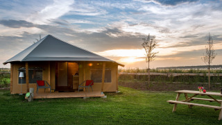 La tienda de safari Haytent sobre césped verde al atardecer, con árboles y mesa de picnic en primer plano.