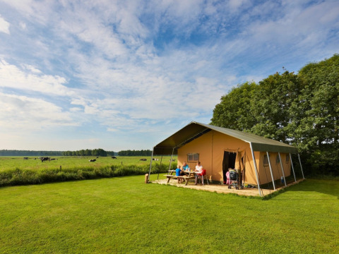 Safari-Zelt auf einer grünen Wiese mit Familien am Tisch, im Hintergrund weidende Kühe und blauer Himmel.