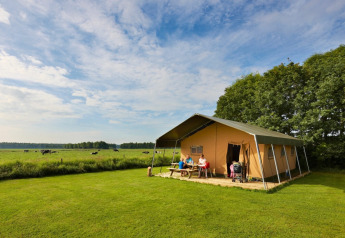 Safaritent op een groen veld met gezinnen aan een picknicktafel en grazende koeien onder de blauwe lucht.