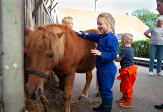 Des enfants caressent et brossent un poney à FarmCamps Hoeve Sonneclaer, parc de vacances à Drenthe, Pays-Bas.