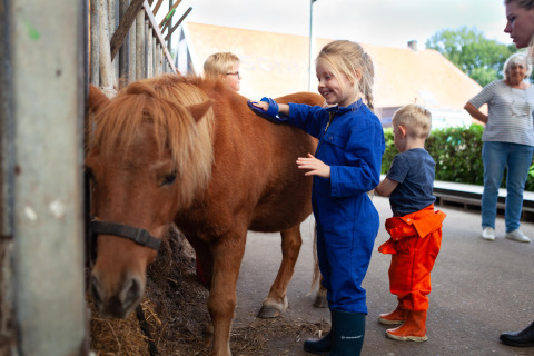 Kinder streicheln und pflegen ein Pony im Ferienpark FarmCamps Hoeve Sonneclaer in Drenthe, Niederlande.