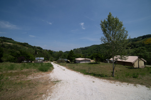 Tranquillo campeggio Podere Sei Poorte nelle Marche, Italia, con tende, alberi e colline verdi circostanti.