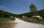 Stille campingplads ved Podere Sei Poorte i Marche, Italien, med telte, træer og udsigt til grønne bakker.