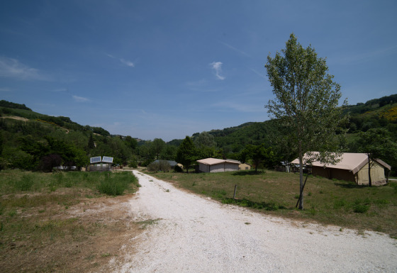 Tranquillo campeggio Podere Sei Poorte nelle Marche, Italia, con tende, alberi e colline verdi circostanti.