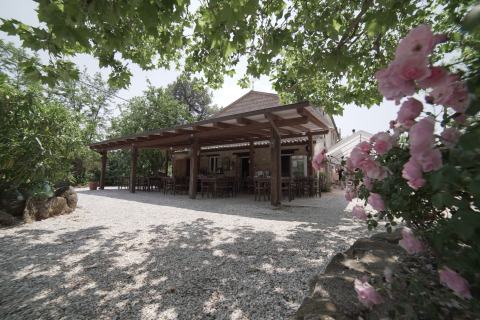 Terraza de madera con sillas, árboles y flores en Camping Podere Sei Poorte, Marche, Italia.