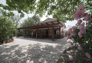 Terraza de madera con sillas, árboles y flores en Camping Podere Sei Poorte, Marche, Italia.