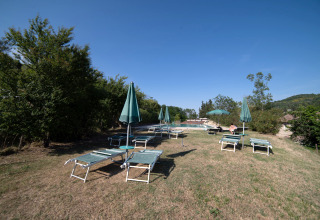 Liegestühle und Sonnenschirme auf einer trockenen Wiese im Camping Podere Sei Poorte, Marche, Italien, bei Sonne.