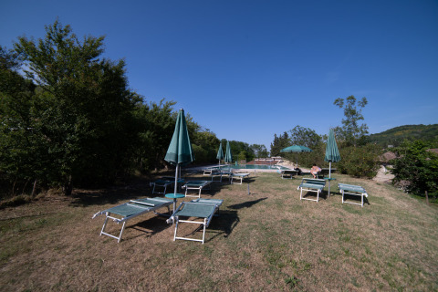 Tumbonas y sombrillas en un área de césped seco en Camping Podere Sei Poorte, Marche, Italia, bajo un cielo despejado.