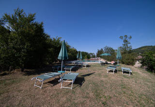 Solstole og parasoller på en tør græsplæne ved Camping Podere Sei Poorte, Marche, Italien, under en klar himmel.