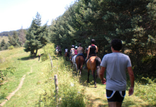 People ride horses and walk along a forest trail at Camping Les Sapins in Occitanie, France, on a sunny day.