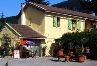 Gul bygning på Camping Les Sapins i Occitanie, Frankrig, omgivet af grønt og blomsterkrukker.