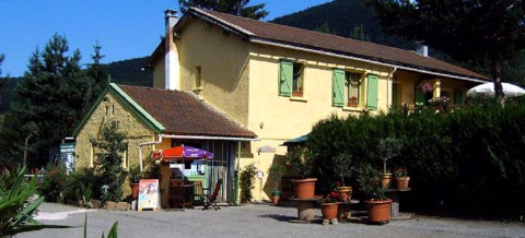 Gul bygning på Camping Les Sapins i Occitanie, Frankrig, omgivet af grønt og blomsterkrukker.