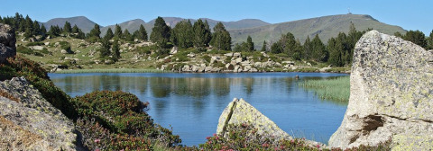 Vue panoramique d’un lac paisible entouré de pins et de rochers au Camping Les Sapins en Occitanie, France.