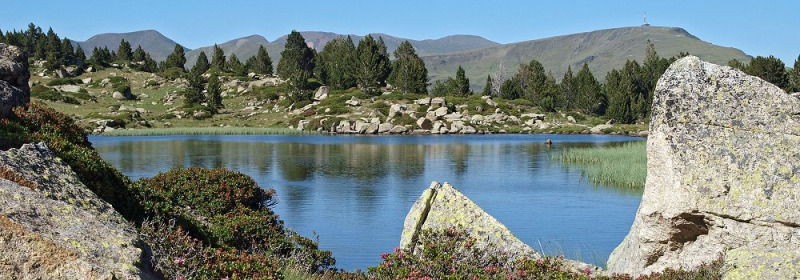 Vue panoramique d’un lac paisible entouré de pins et de rochers au Camping Les Sapins en Occitanie, France.