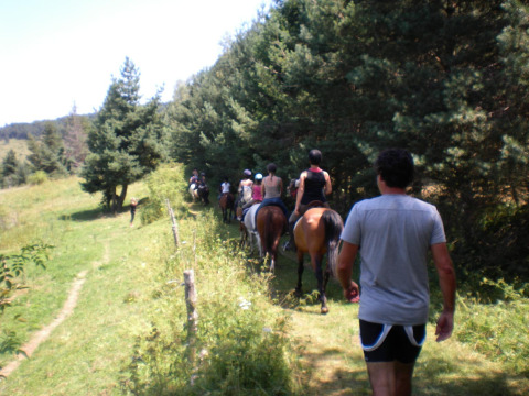 A group of people rides horses and walks along a forest path at Camping Les Sapins in Occitanie, France.