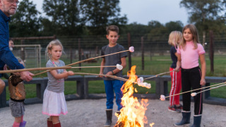 Niños y un adulto asan malvaviscos en una fogata en FarmCamps De Kalverliefde en Limburg, Países Bajos.
