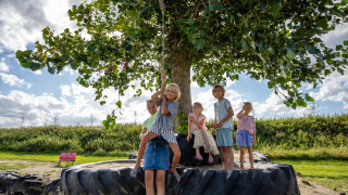 Niños jugando juntos en un columpio de neumático gigante bajo un árbol en FarmCamps De Kamperhoek, Zelanda.