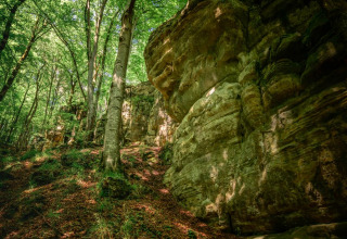 Large rocky outcrop surrounded by lush green forest, sunlight filtering through trees at Camping Belle-Vue 2000.