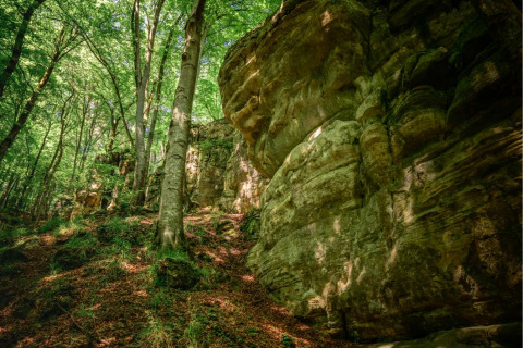 Large rocky outcrop surrounded by lush green forest, sunlight filtering through trees at Camping Belle-Vue 2000.