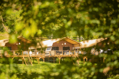 Safari-tenten van Desert Lodge XL op Camping Gajole in Italië, door zomerse bladeren bekeken.